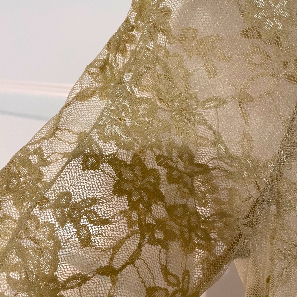Sexy!!  Sheer lace long-sleeve top.